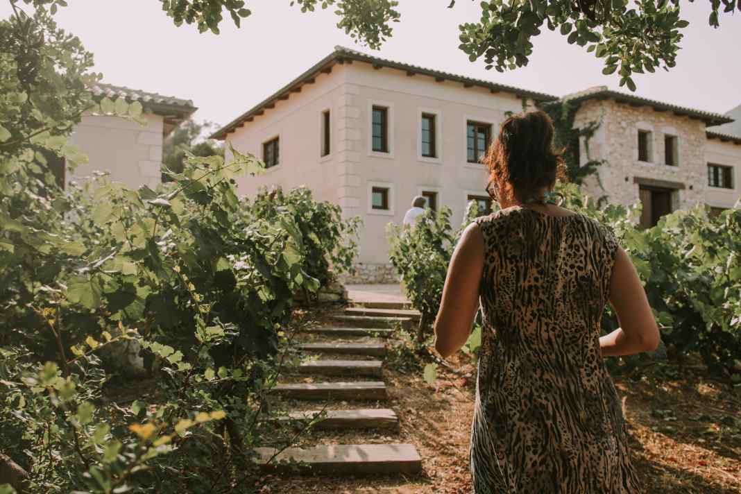 Girl in the vineyard at sunset